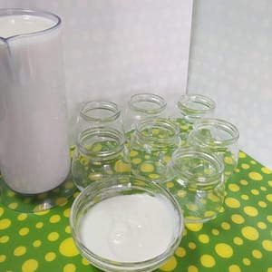 Ingredientes iogurte caseiro económicos e sustentáveis