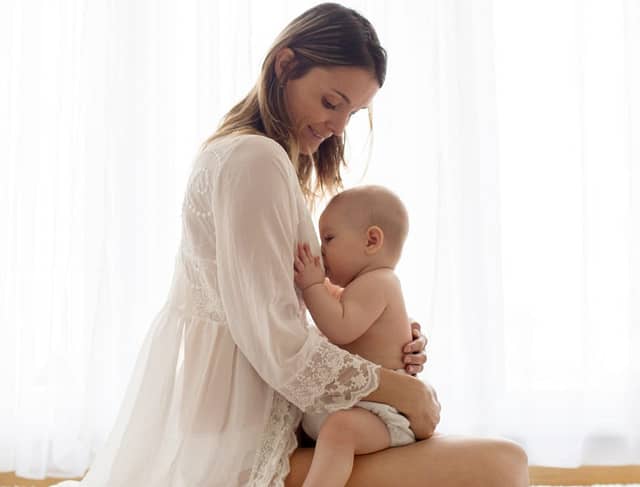 nutrição acompanhamento amamentação e pós parto cam aleitamento materno