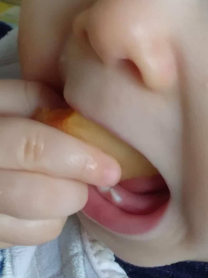 Alimentação da criança a partir de 1 ano